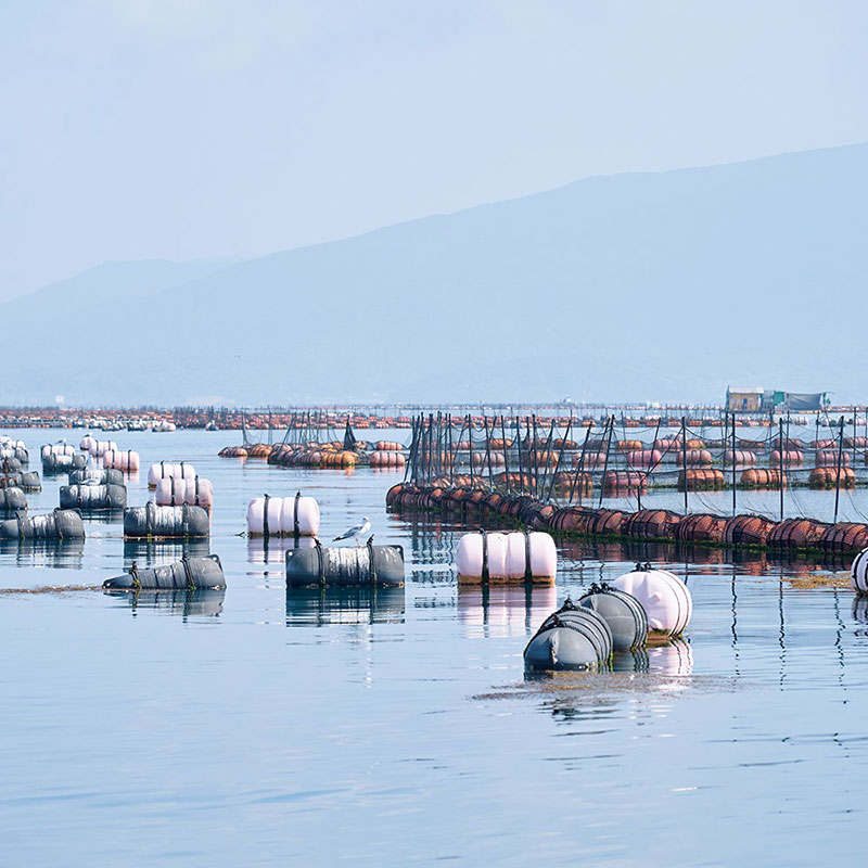 The Inland Sea of Amakusa