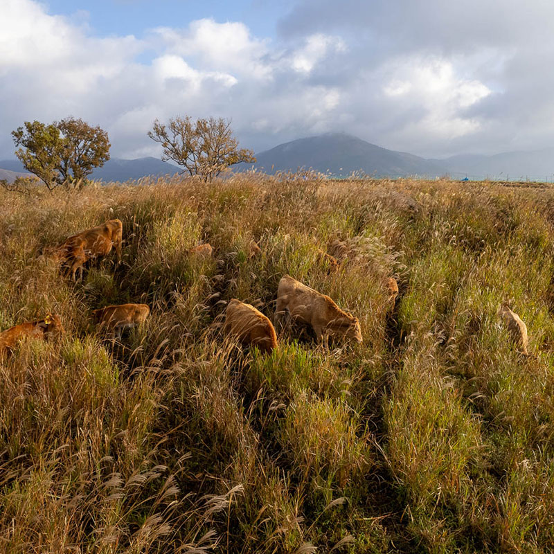 Behind the delicious food is vast nature and efforts to protect it.