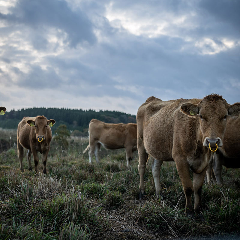 Behind the delicious food is vast nature and efforts to protect it.