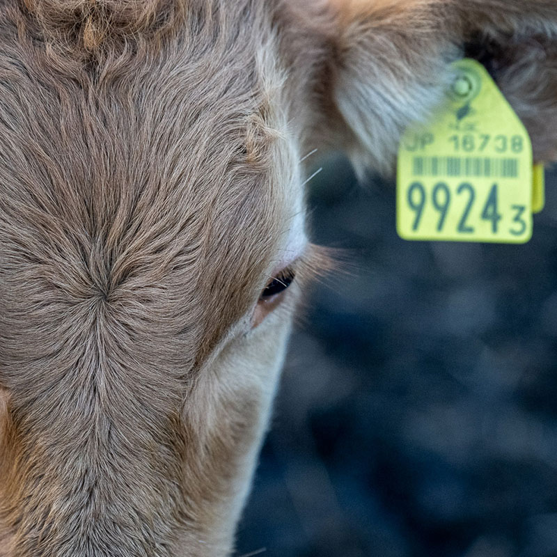 Behind the delicious food is vast nature and efforts to protect it.