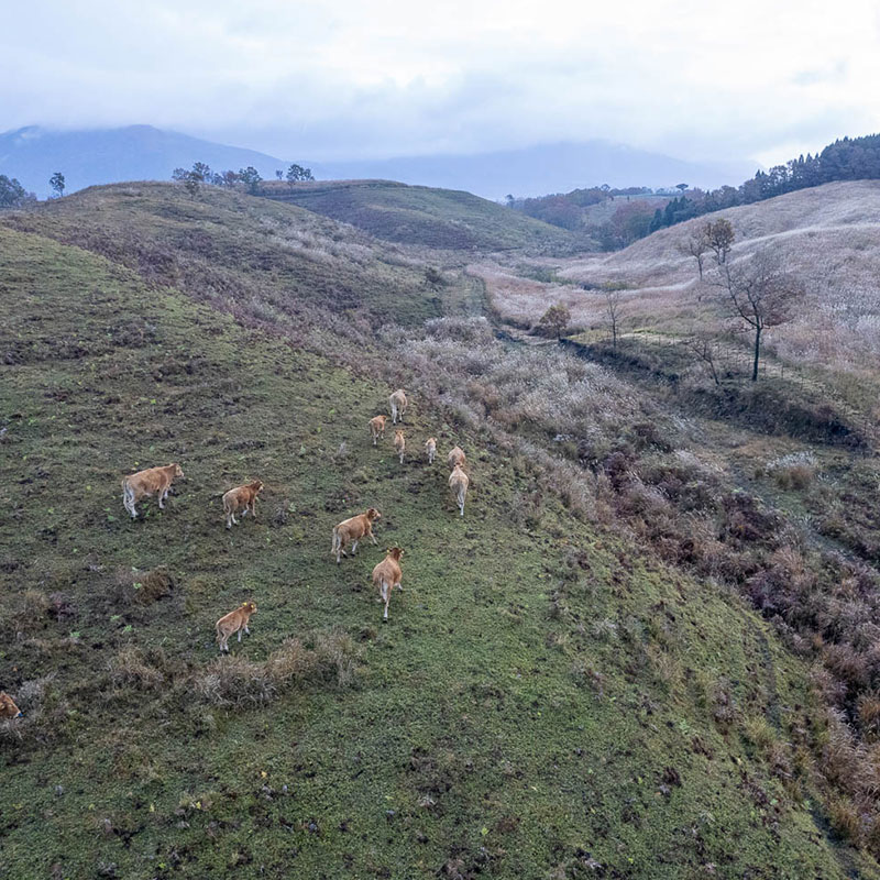 Behind the delicious food is vast nature and efforts to protect it.