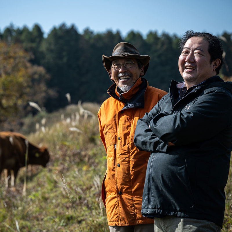 「草原牛」的牧場