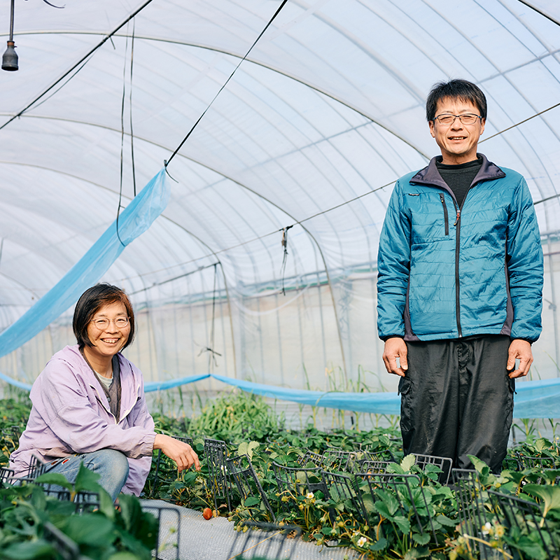 (Right) Mr. Daishin Kusuda, Representative of Pesticide-Zero Daishin Farm; (Left) Ms. Tomoko Kuroda, Staff member.