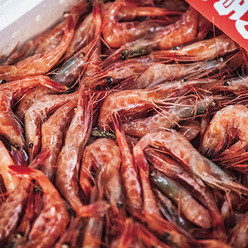 海産部のせり