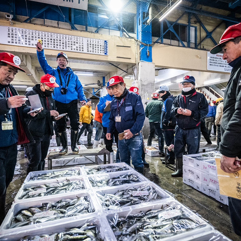 「田崎市場でもっとも多く取り引きされる海産物は、タイ。アジやブリがそれに続きます」