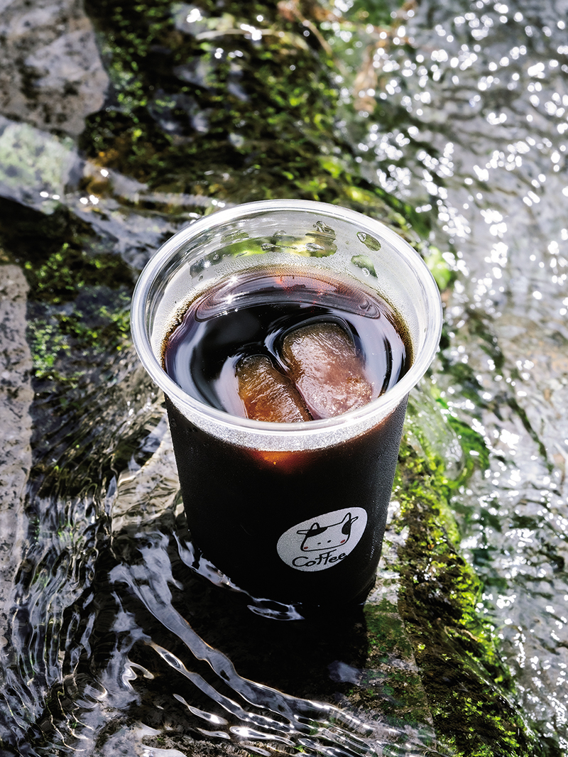 一日20杯限定! 白川水源の湧水で淹れる“水出しコーヒー”を飲みに行ってみませんか?