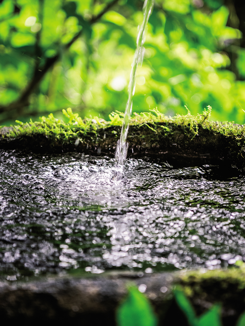 なぜ熊本の水は豊かで、きれいで、おいしいのか？