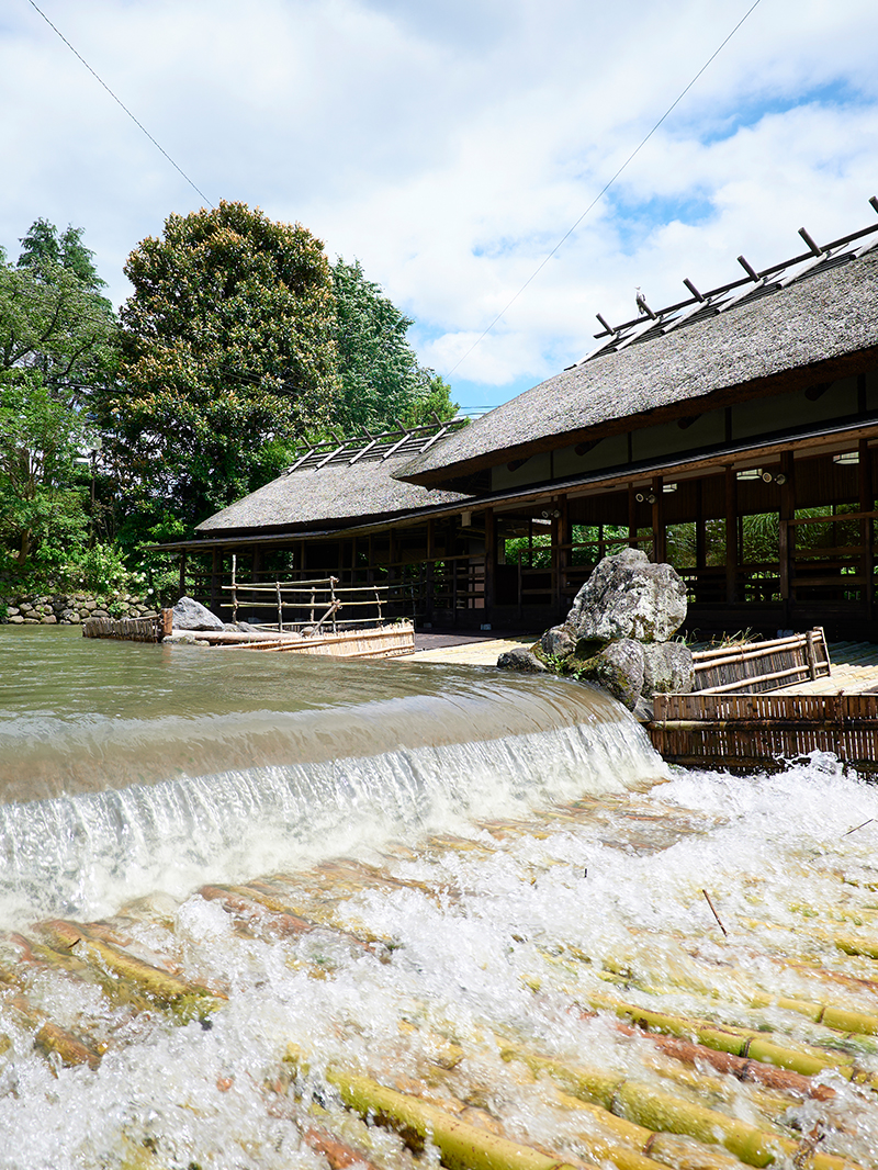 The Lord’s summer delight is the ayu sweetfish of Kosa Town’s yana fish trap.