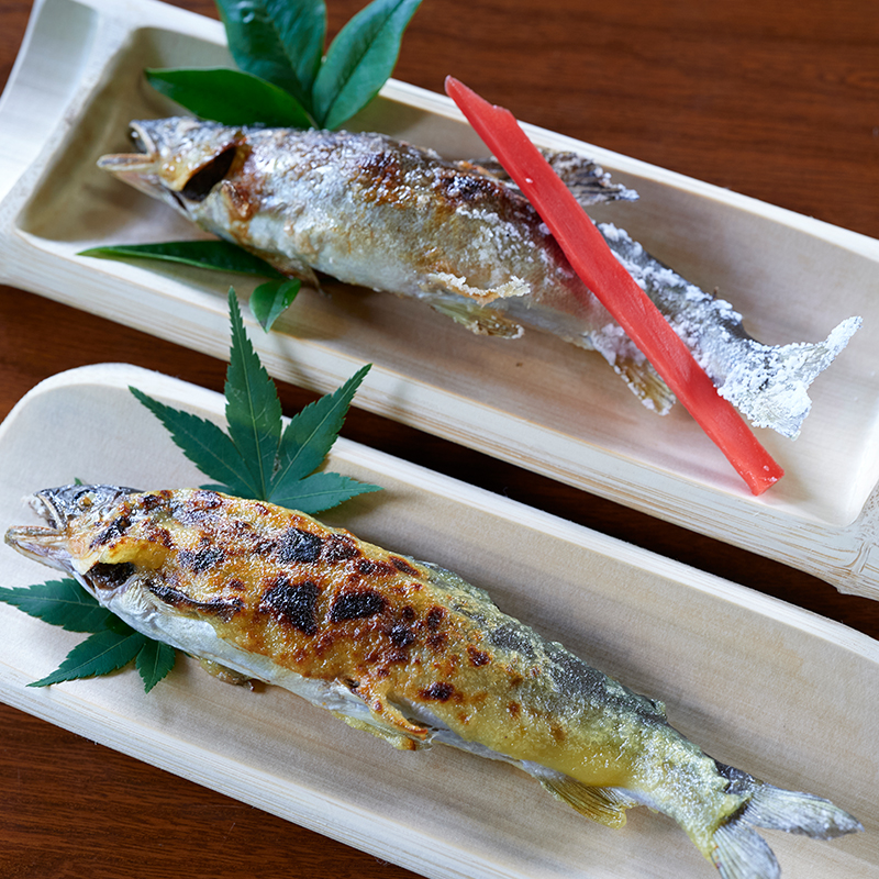 the ayu sweetfish of Kosa Town’s yana fish trap
